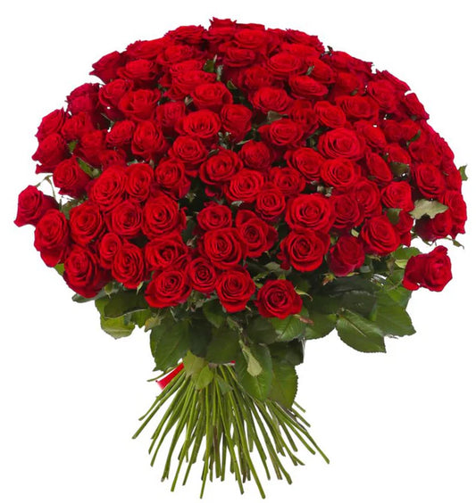 100 Red Roses (Handheld)