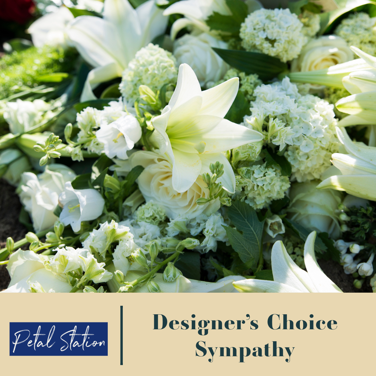 DesignerChoice sympathy
