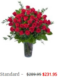 Explosion of Roses