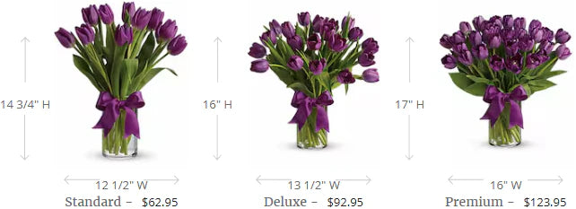 Passionate Purple Tulips