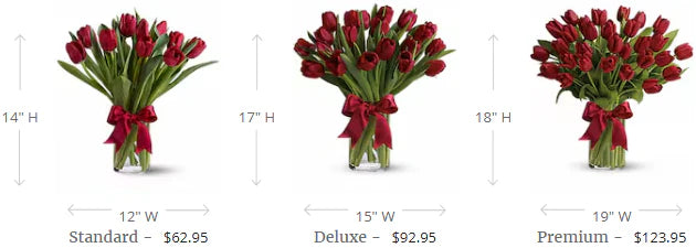 Radiantly Red Tulips