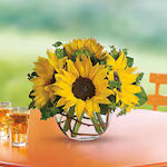 Sunny Sunflowers