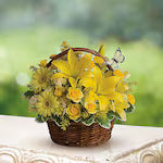 Basket Full of Wishes