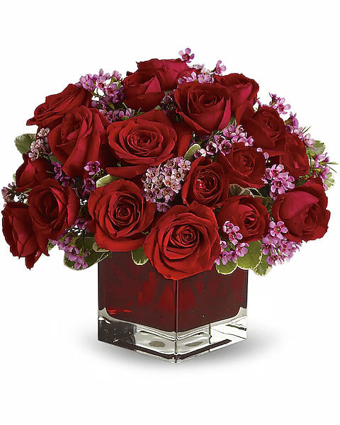 Red Roses