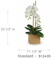 Teleflora's Opulent Orchids