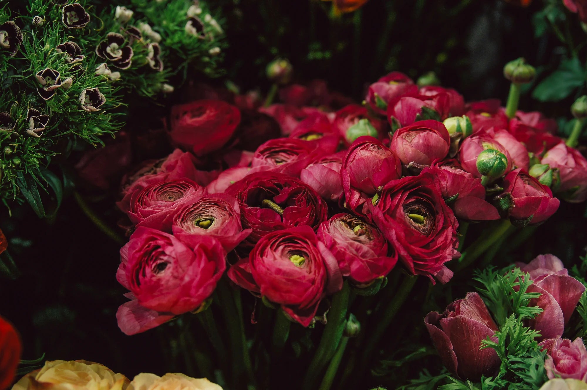 Bouquet of red flowers with greenery in a dark setting
