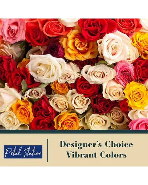 Designer Choice - Sympathy