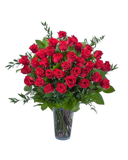 Explosion of Roses